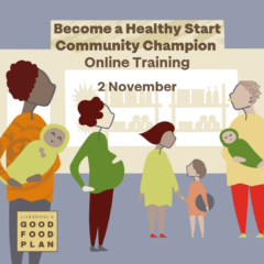Become a Healthy Start Community Champion